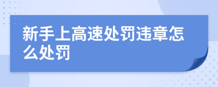 新手上高速处罚违章怎么处罚