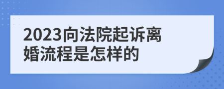 2023向法院起诉离婚流程是怎样的