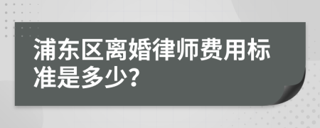 浦东区离婚律师费用标准是多少？