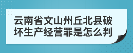 云南省文山州丘北县破坏生产经营罪是怎么判