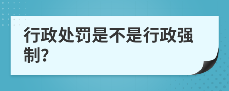 行政处罚是不是行政强制？