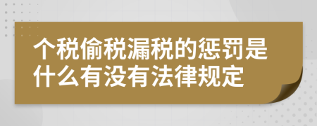 个税偷税漏税的惩罚是什么有没有法律规定