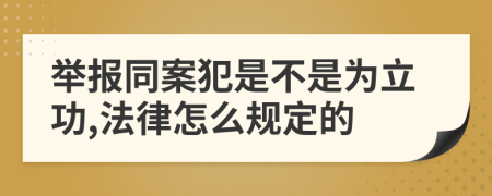 举报同案犯是不是为立功,法律怎么规定的