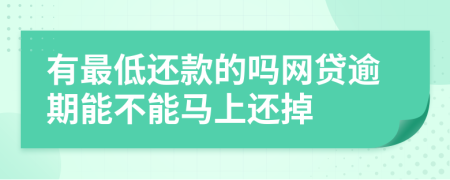 有最低还款的吗网贷逾期能不能马上还掉