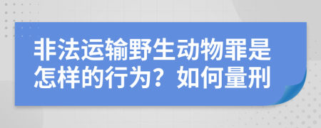 非法运输野生动物罪是怎样的行为？如何量刑