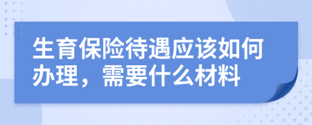 生育保险待遇应该如何办理，需要什么材料