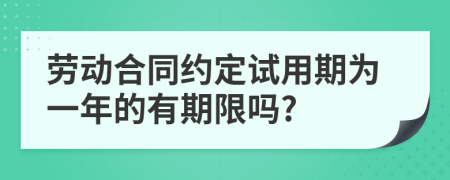 劳动合同约定试用期为一年的有期限吗?