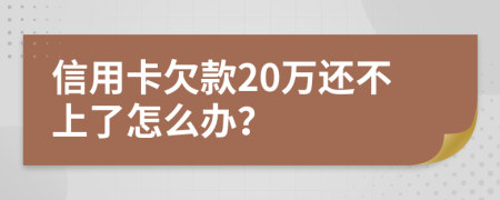 信用卡欠款20万还不上了怎么办？