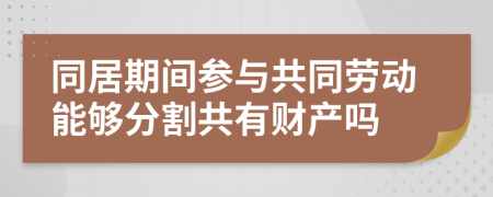 同居期间参与共同劳动能够分割共有财产吗