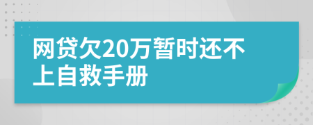 网贷欠20万暂时还不上自救手册