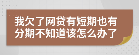 我欠了网贷有短期也有分期不知道该怎么办了