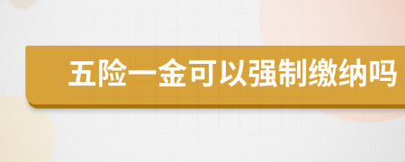 五险一金可以强制缴纳吗