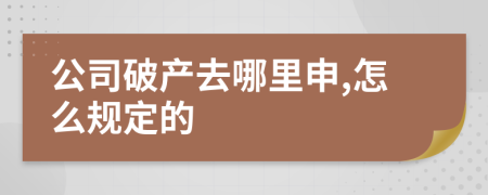 公司破产去哪里申,怎么规定的