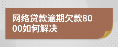 网络贷款逾期欠款8000如何解决