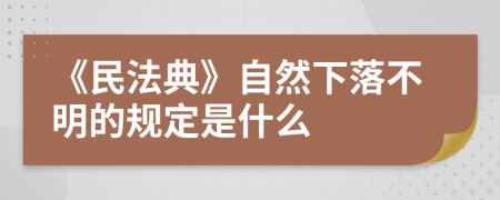 《民法典》自然下落不明的规定是什么