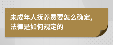 未成年人抚养费要怎么确定,法律是如何规定的