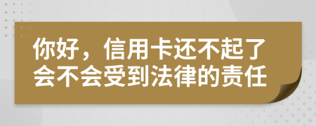 你好，信用卡还不起了会不会受到法律的责任