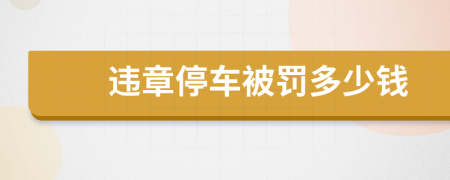 违章停车被罚多少钱