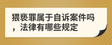 猥亵罪属于自诉案件吗，法律有哪些规定