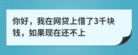 你好，我在网贷上借了3千块钱，如果现在还不上