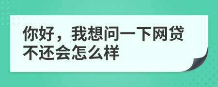 你好，我想问一下网贷不还会怎么样