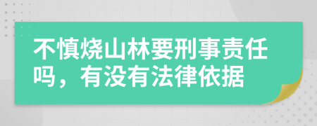 不慎烧山林要刑事责任吗，有没有法律依据