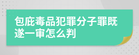 包庇毒品犯罪分子罪既遂一审怎么判