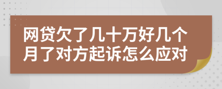 网贷欠了几十万好几个月了对方起诉怎么应对