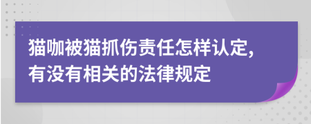 猫咖被猫抓伤责任怎样认定,有没有相关的法律规定