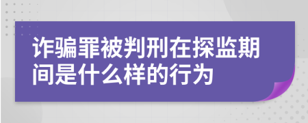 诈骗罪被判刑在探监期间是什么样的行为