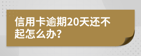 信用卡逾期20天还不起怎么办？