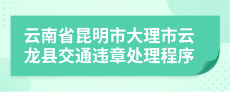 云南省昆明市大理市云龙县交通违章处理程序