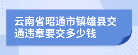 云南省昭通市镇雄县交通违章要交多少钱