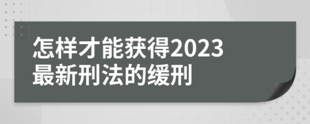 怎样才能获得2023最新刑法的缓刑