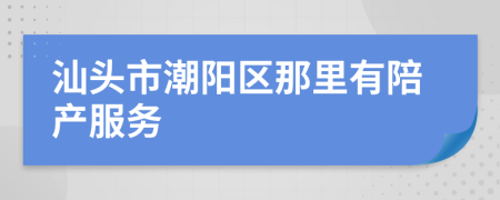 汕头市潮阳区那里有陪产服务