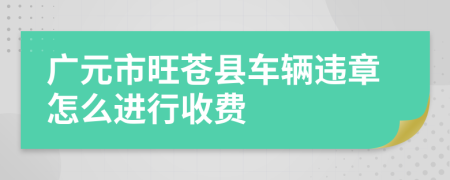 广元市旺苍县车辆违章怎么进行收费