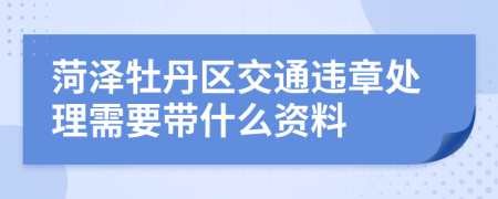 菏泽牡丹区交通违章处理需要带什么资料