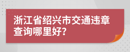 浙江省绍兴市交通违章查询哪里好？