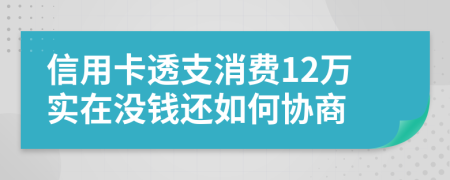 信用卡透支消费12万实在没钱还如何协商