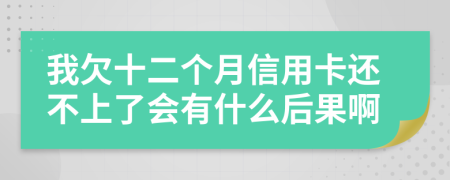 我欠十二个月信用卡还不上了会有什么后果啊