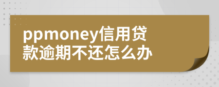 ppmoney信用贷款逾期不还怎么办