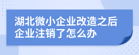 湖北微小企业改造之后企业注销了怎么办