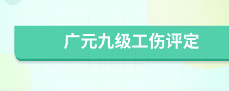 广元九级工伤评定