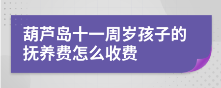 葫芦岛十一周岁孩子的抚养费怎么收费