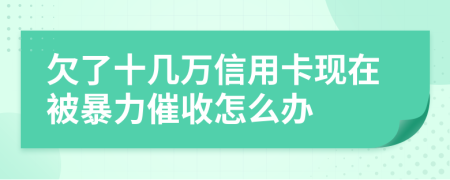 欠了十几万信用卡现在被暴力催收怎么办