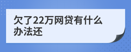 欠了22万网贷有什么办法还