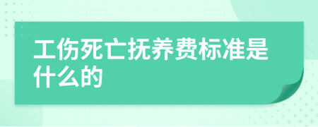 工伤死亡抚养费标准是什么的