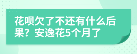 花呗欠了不还有什么后果？安逸花5个月了