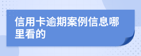 信用卡逾期案例信息哪里看的