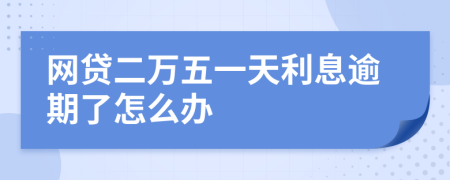 网贷二万五一天利息逾期了怎么办